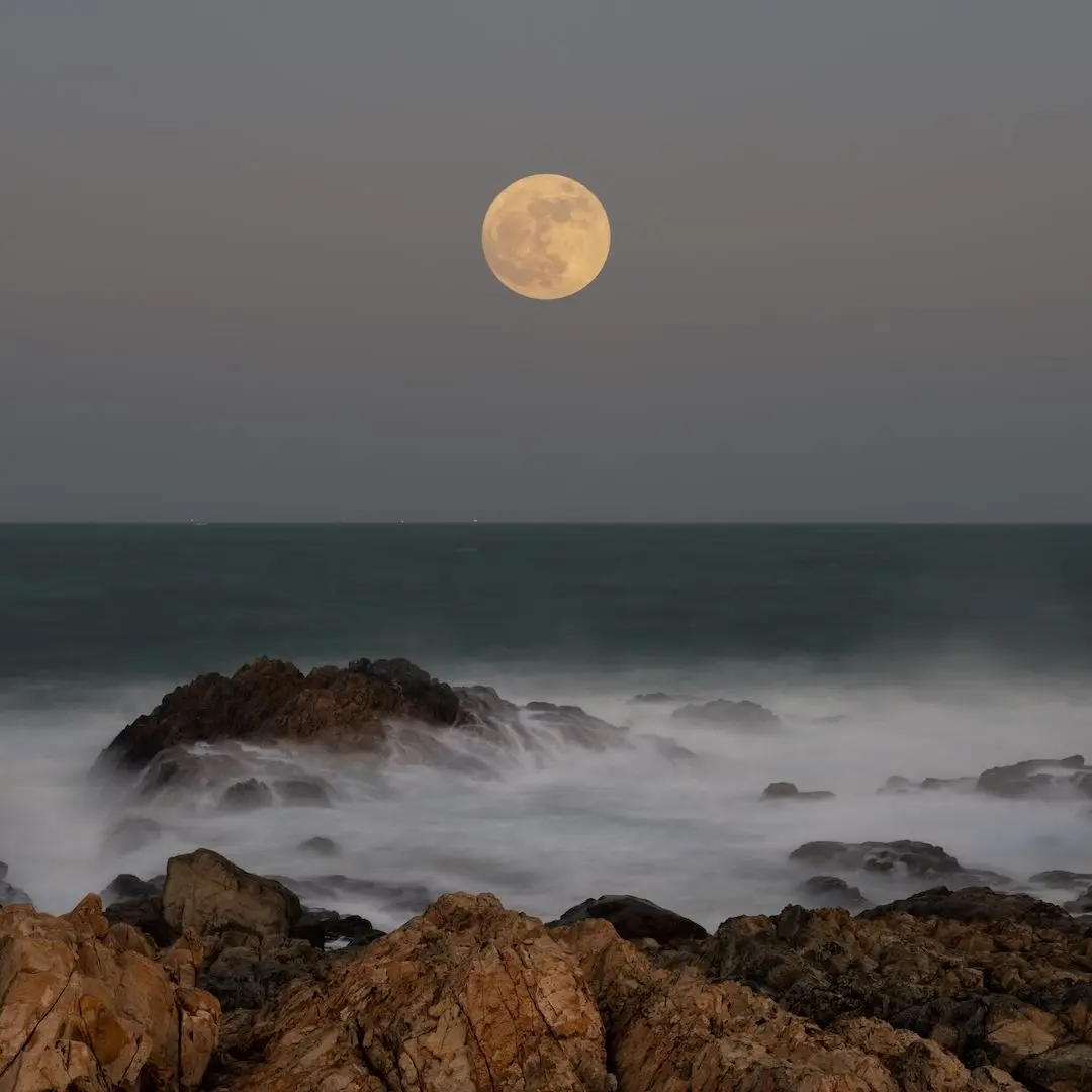 aarwvf 4bKKkdd27oG7SnpS6ewZnD