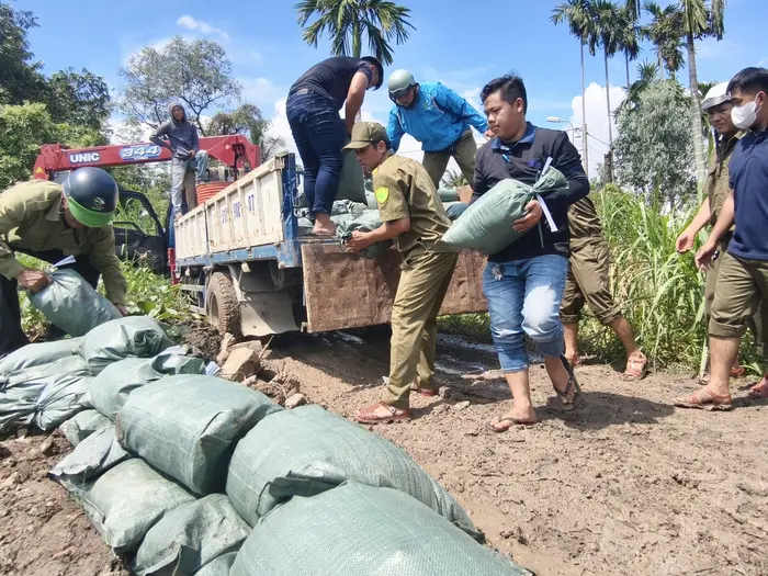 ap1b19 gia co 1 1762240880346850440929 402 0 1742 2560 crop 1762240932367469507789