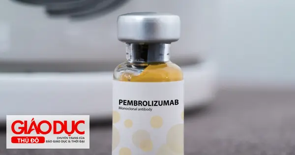 axyyts cdnphoto.dantri.com .vn z9hanbb95hxhhd57ihbyednxxh0 thumb w 1020 2025 11 11 screen shot 2025 11 11 at 115304 ampng 1762837013786