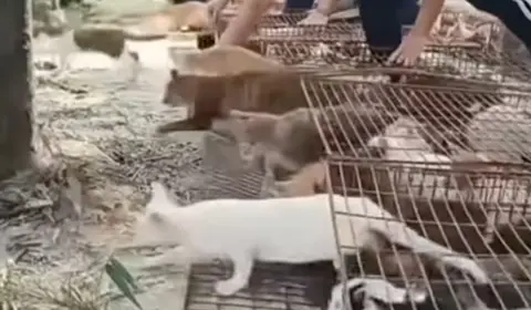 bbzomc screenshot 2025 11 10 162034 17627664485751328471679