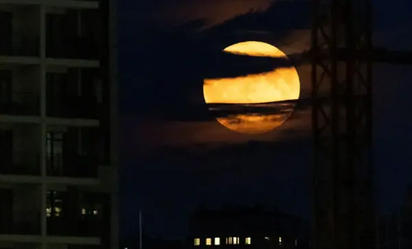 bhmdyr screenshot 2025 11 04 095819