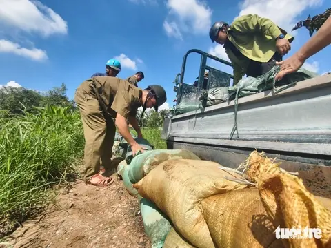 bk9udy base64 1762241888805845353313