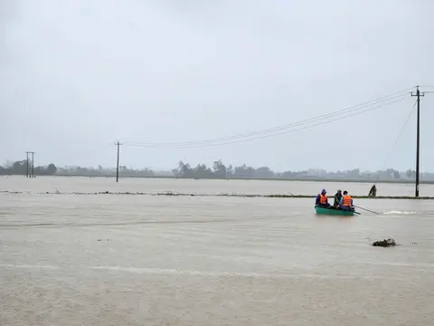 bnbt2u ron lu hoa thinh le trung 2025 11 22 1 1763811945750926872689