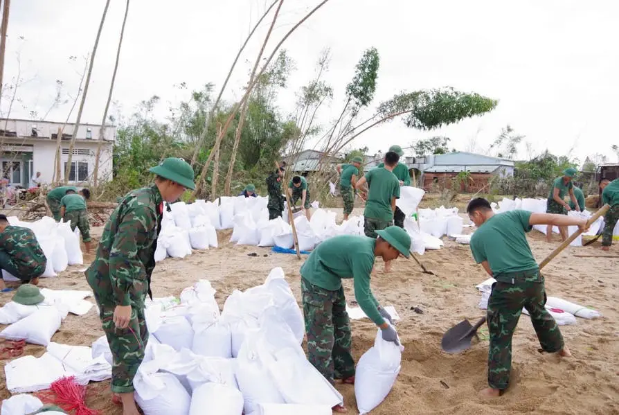 bt1n6b b95717de 6cb5 41fa bb95 c40ea2587dae