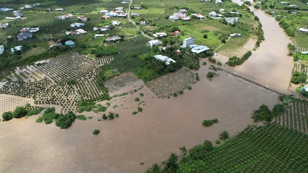 c4jy9g N C6 B0 E1 BB 9Bc 20ng E1 BA ADp 20tr E1 BA AFng 202 20b C3 AAn 20b E1 BB 9D 20s C3 B4ng 20C C3 A0 20Ty 20khu 20v E1 BB B1c 20x C3 A3 20Tuy C3 AAn 20Quang