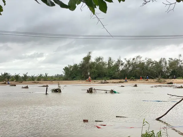 cc61fp 1 1763866041036589146307