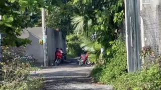 crgifj phong tro 1747223052123