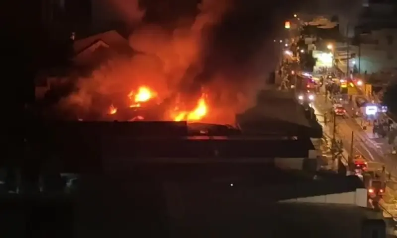 czzlex chay binh hung hoa 1755801677