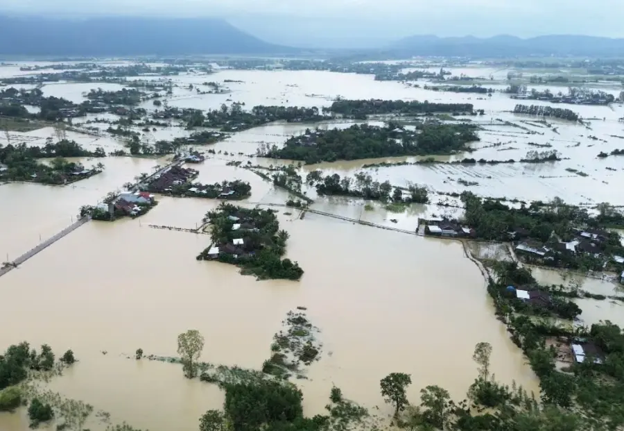 dnzw74 7d382a6875834b2bb1488086be7656df 51569