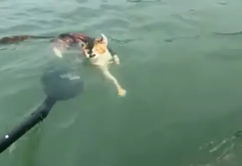 dyhm7b screenshot 2025 11 10 161916 17627663714491750876839