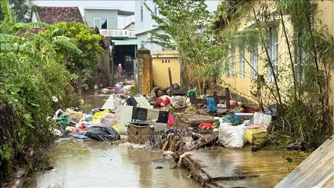 e06hr8 dak lak7231125