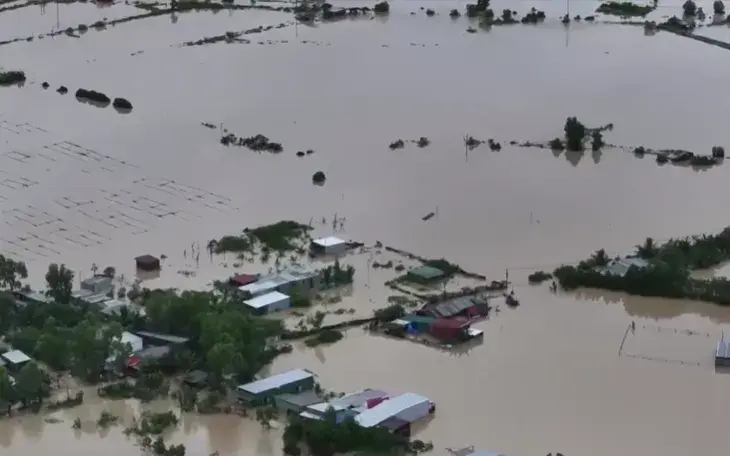 egcbdk screenshot 2025 11 20 193518 41535988534692436387580 48574995115702559398480