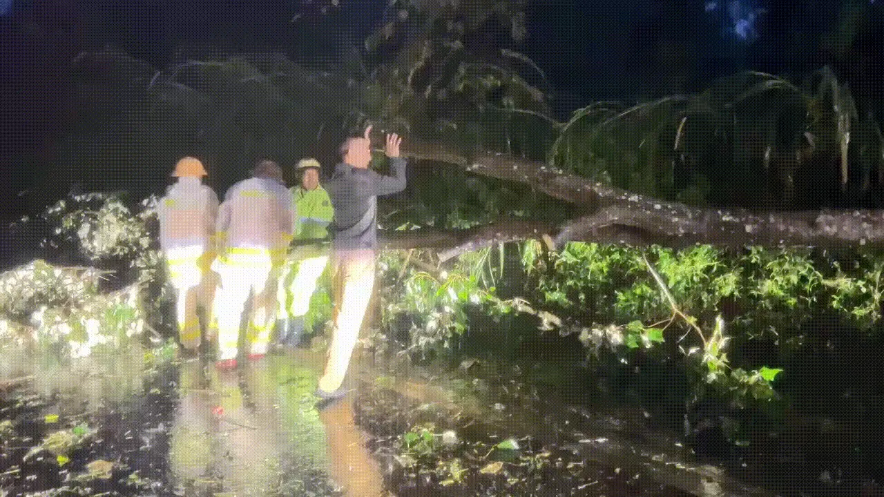 f61brw 7196127080858 00 00 00 00 00 30