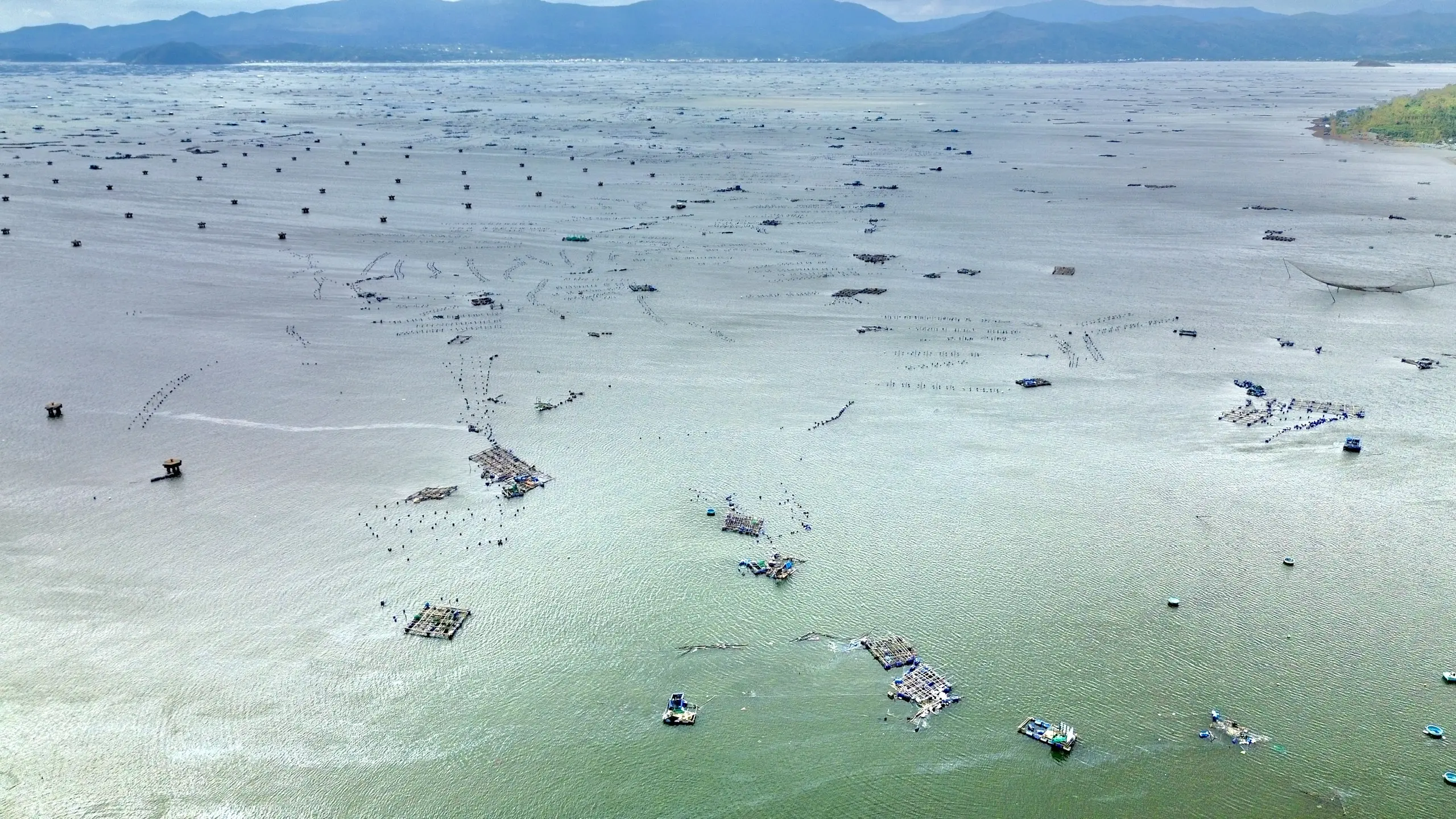 fvkfb6 z7209097184082cd6b6edcdd51625caa40badf3435d1f6 17627672321521031381143