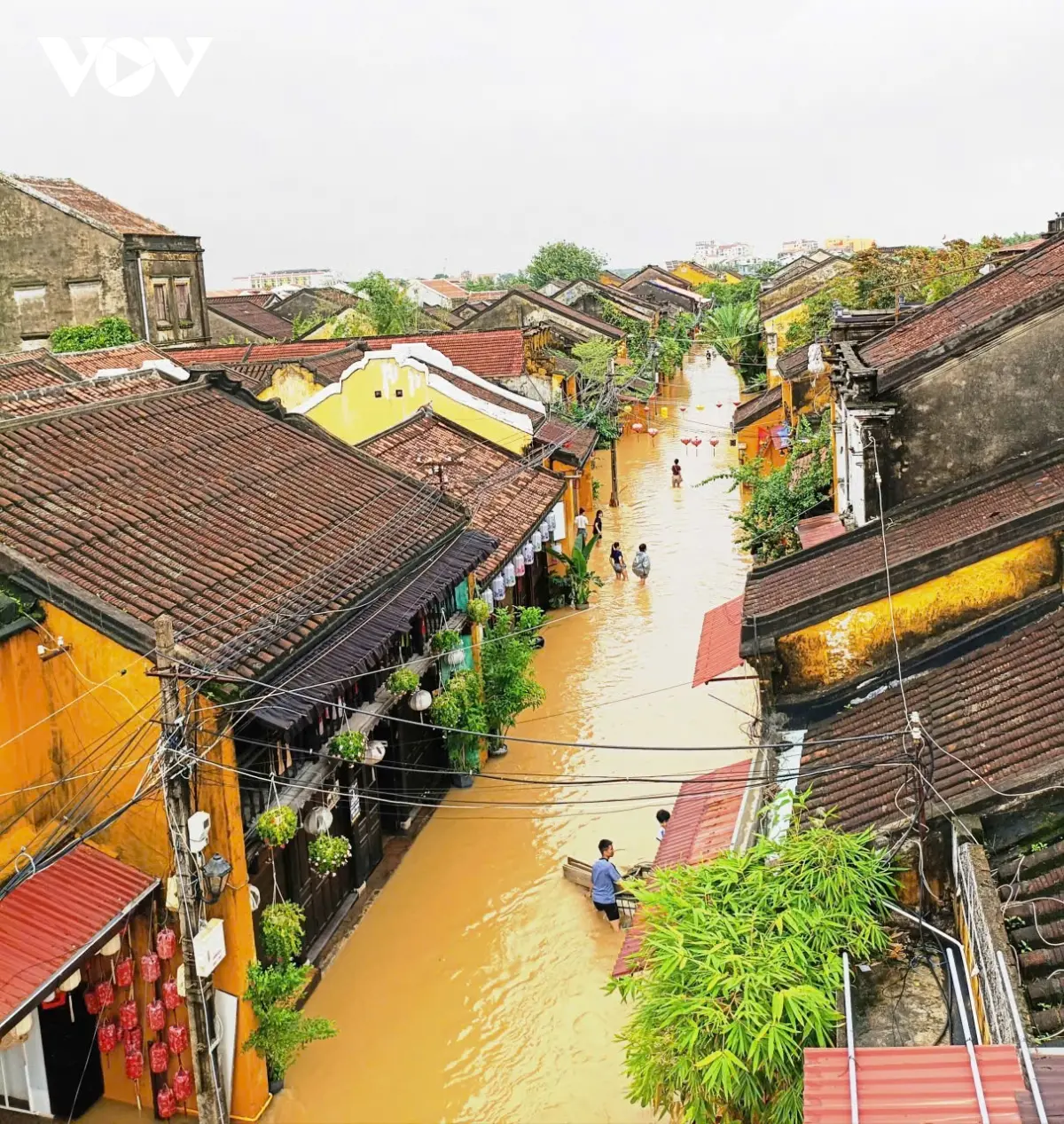 g0dwt1 gen h z7184034499328 daf8c88c23ac25e2c7ff6ff268a729f8