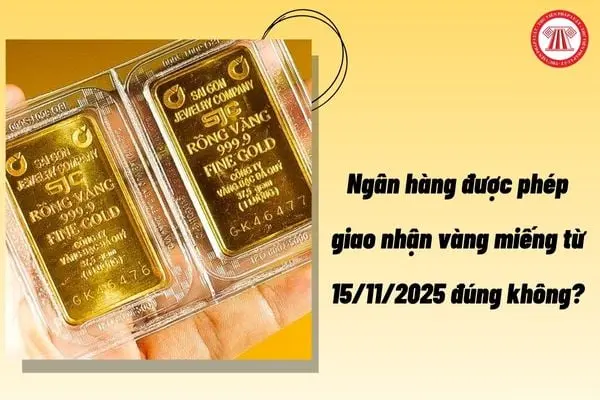 g62z1y giaonhan vangmieng