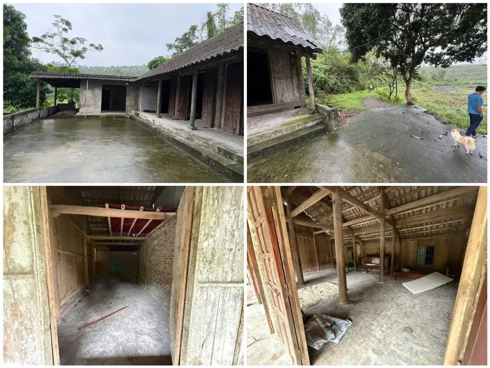 g7l7ef cong an phu tho triet pha duong day tu gay thuong tich de truc loi bao hiem 2 1583 261.jpg