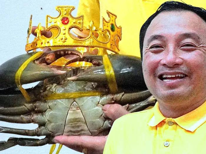 gpia4j 6064 17638263125591466757292 68 0 1073 1920 crop 1763826333493278694115