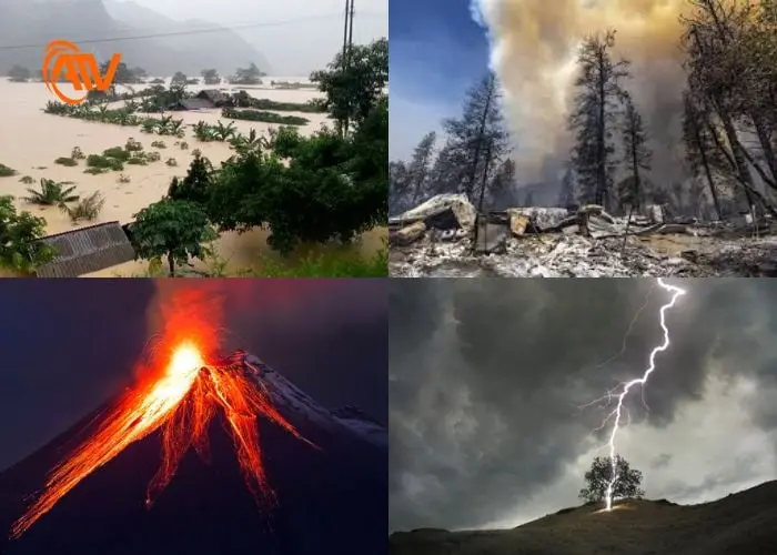 heys8c thien tai 2025 1 7fc6b77949fe4307b6d57bcd00380cd2