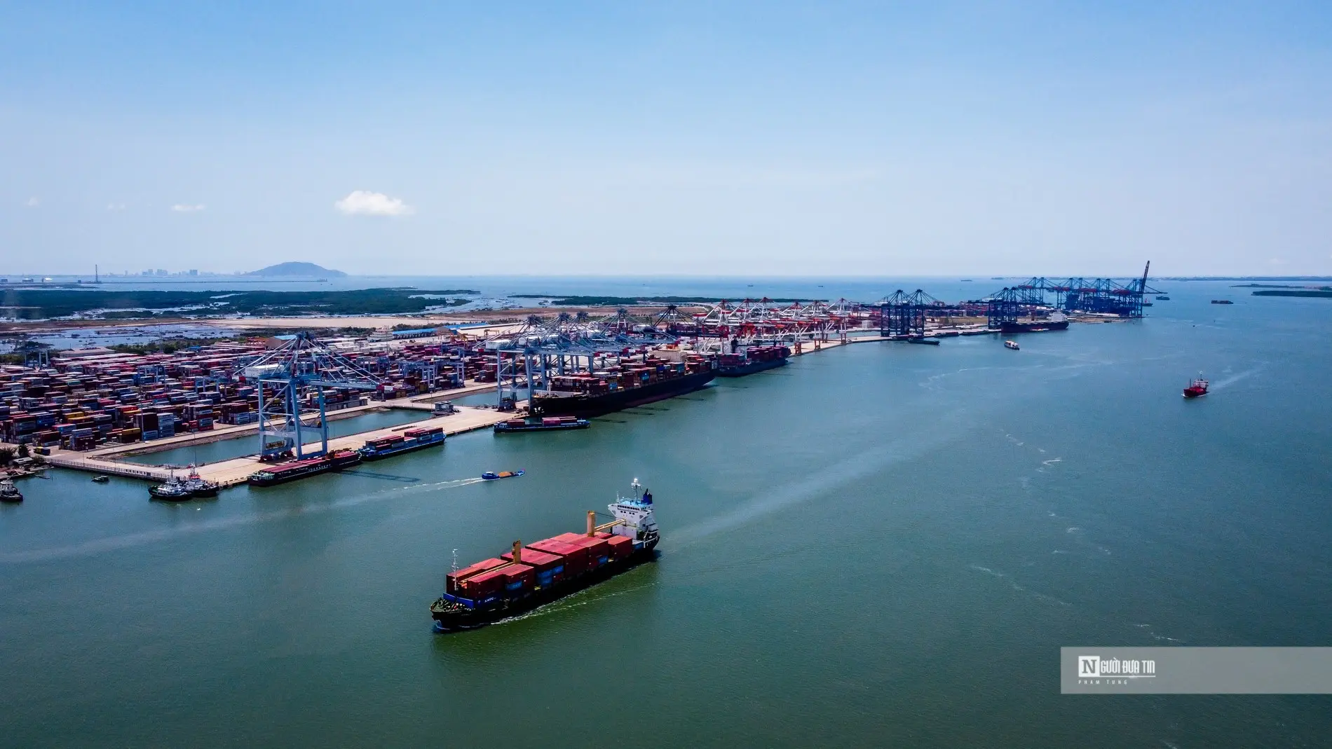 hoxun3 cang cai mep1 1762401069489768867577