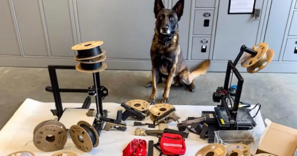 ig27ss salinas brothers guns arrest 110525