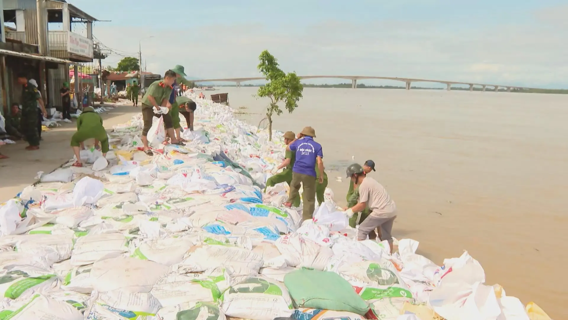 ikc3nx 60sa da nang cang minh chong sat lo bo ke an luong sgntransfer 17623115187951424870570