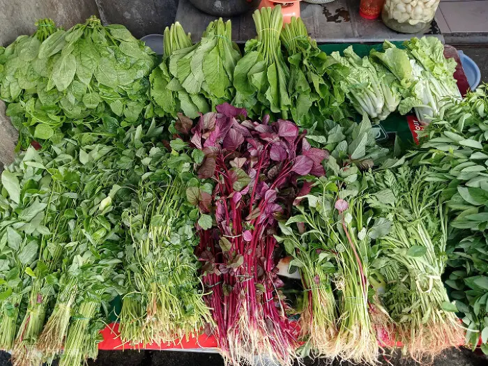 iorxlz crawl 20251007193635514