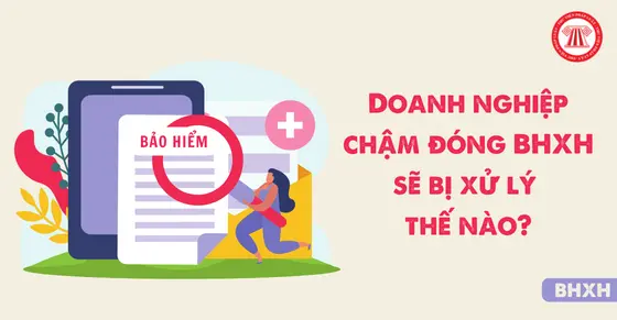 jq013q cham dong bhxh doanh nghiep bi xu ly the nao