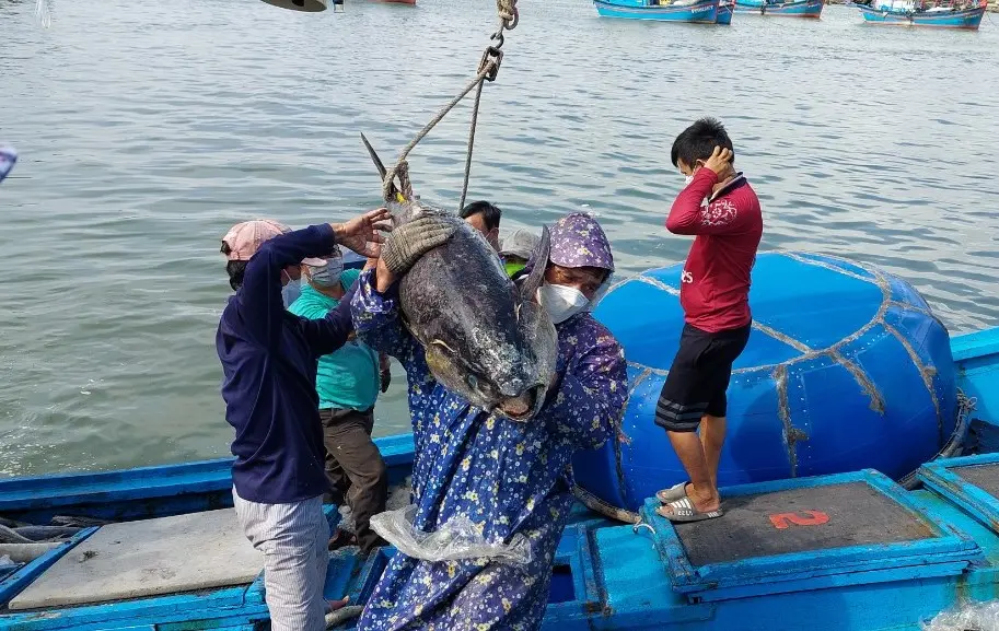 jqfi42 iuu phu yen 1663924149118319377293