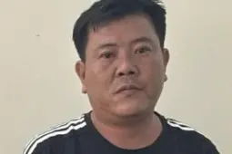 lcipyz 1763043482 665 thumbnail width740height495 anh cat 3 2