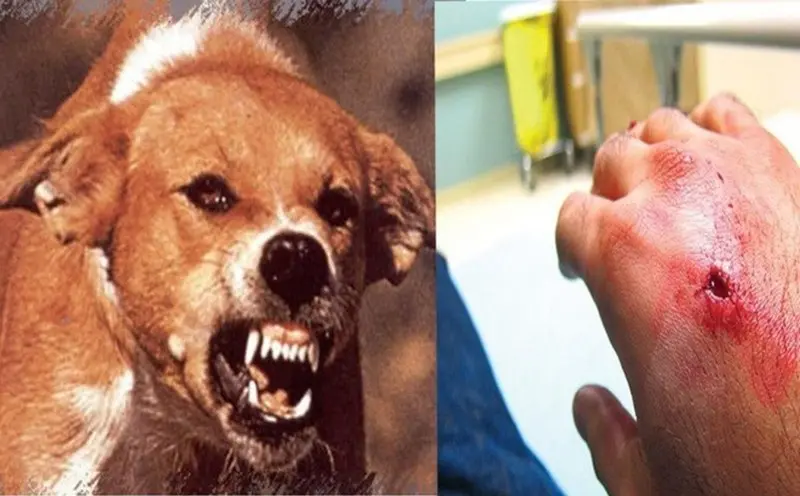 n9holr Anh Minh Hoa 21