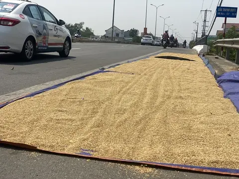 nm06u7 3 17142051807401244378840