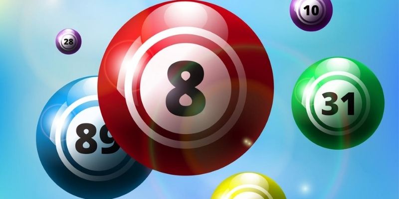 nuoi lo khung 3 ngay