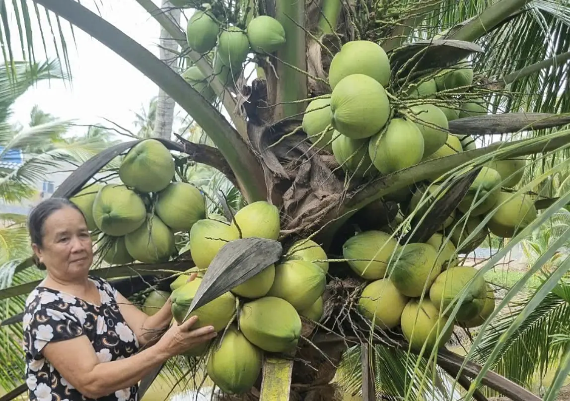 nwwnkx screen shot 2025 11 05 at 3 01 3045 5308 1762331030