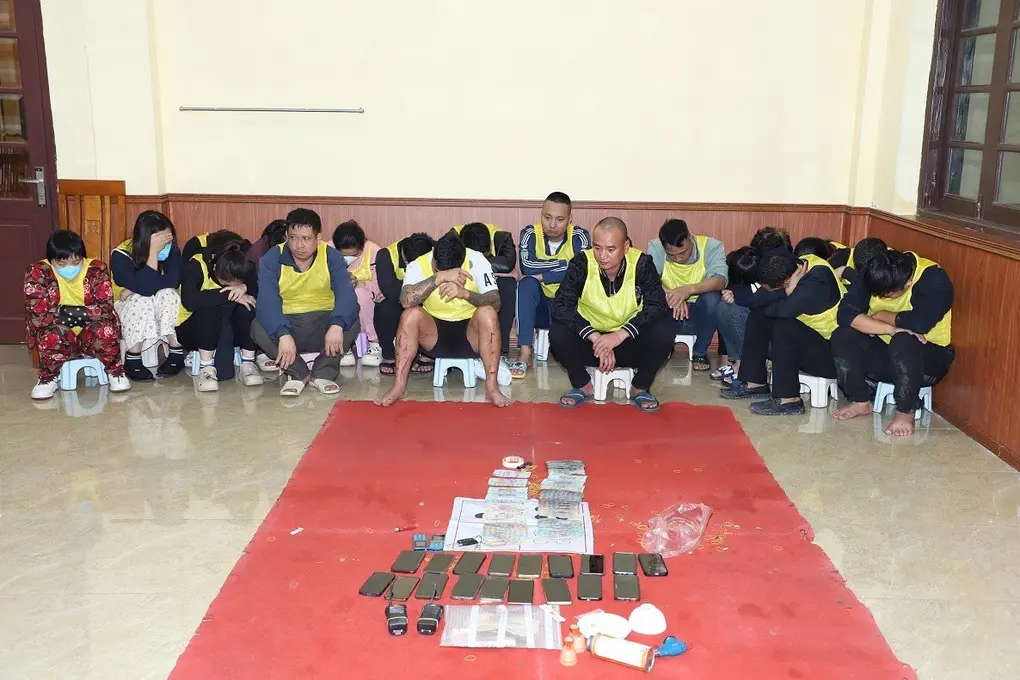 o2ia9y bat giu soi bacjpg 1762273950663