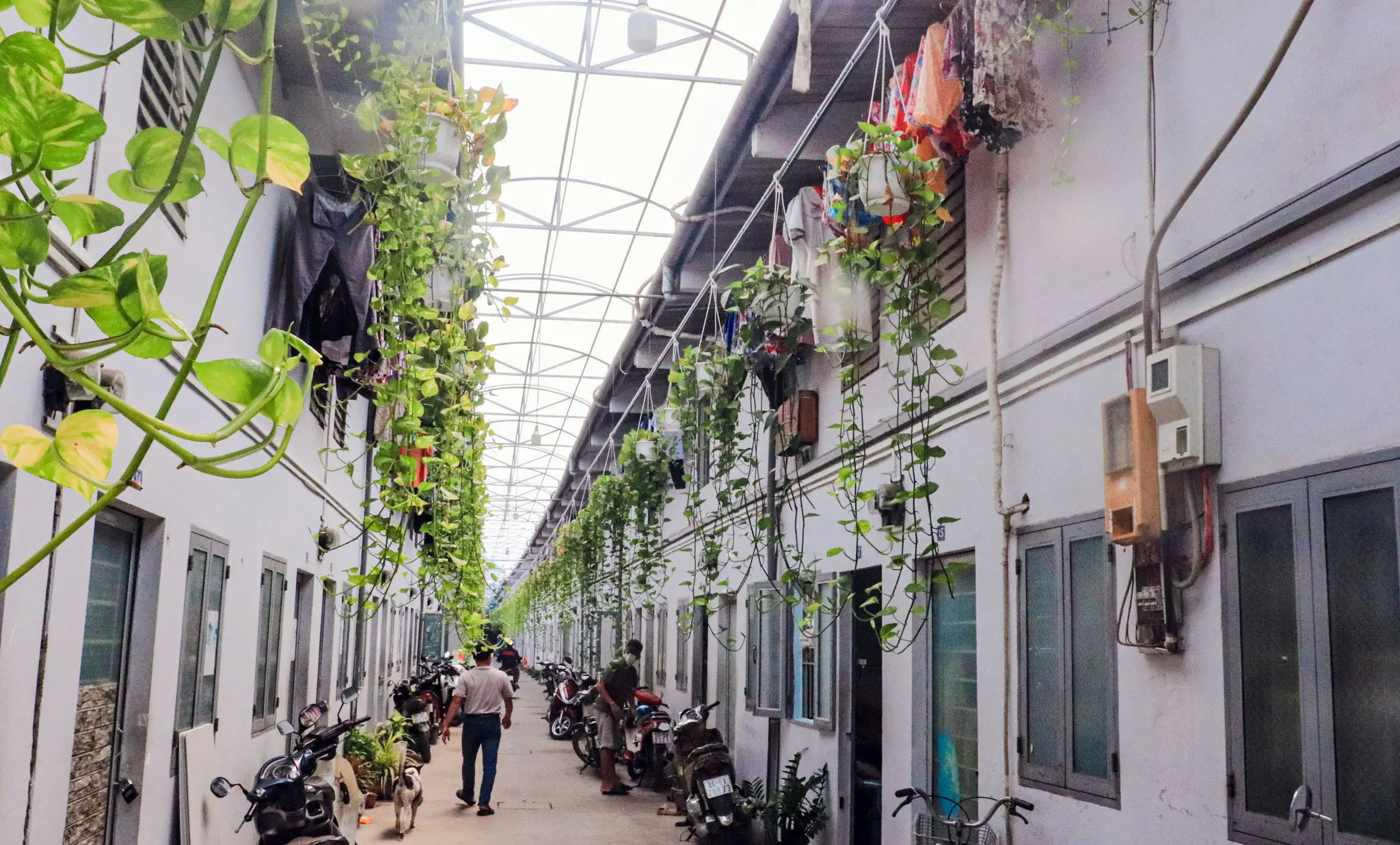 o3p8qy mot khu nha tro cho cong nhan o q binh thanh tp 5783