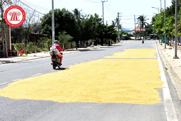 ovzf2z phoi lua tren duong