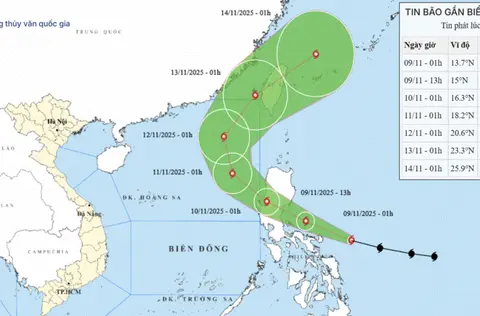 p5dn3x bao phuong hoang fung wong 176263041253757873295