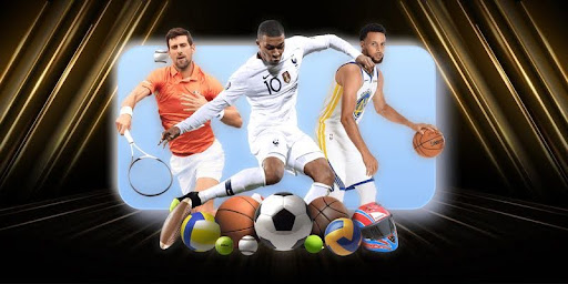 phan tich hieu suat cua yamal