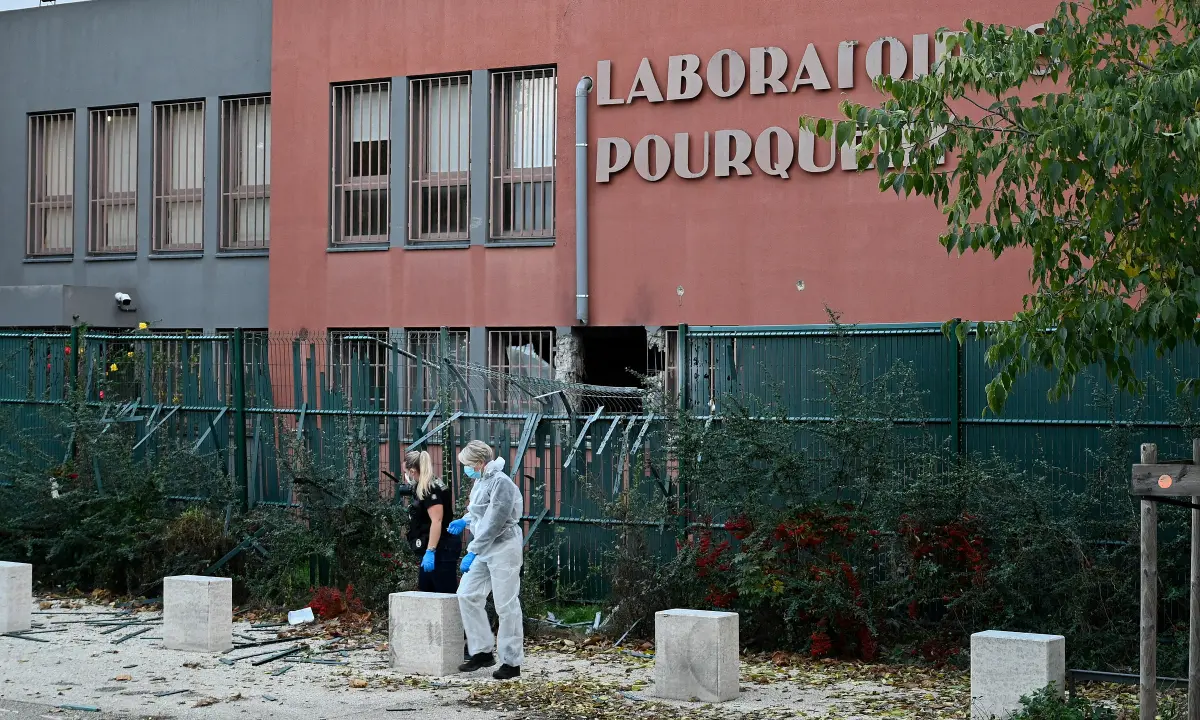 pi7bmh afp 20251030 hl mdelaty 293665 1497 2566 1762247170