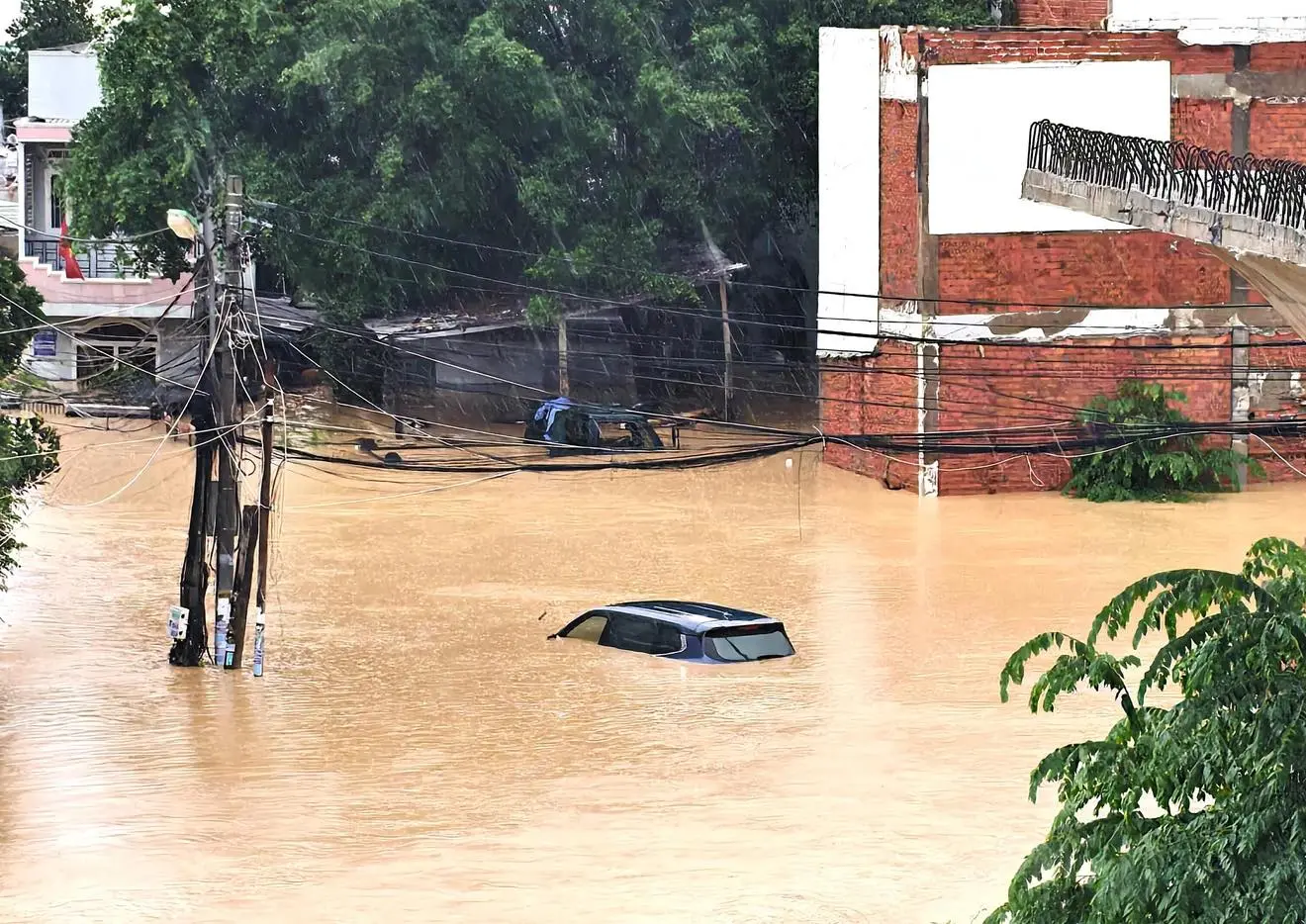 q23yz6 58584196412858217502555494369906691674755776n 1763898596660795726630