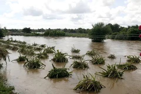 q2o67n mg7466 1761560796737104859476