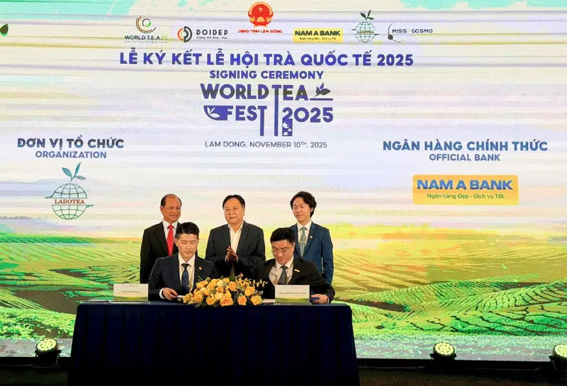 qdj6w7 1111.lam dong6