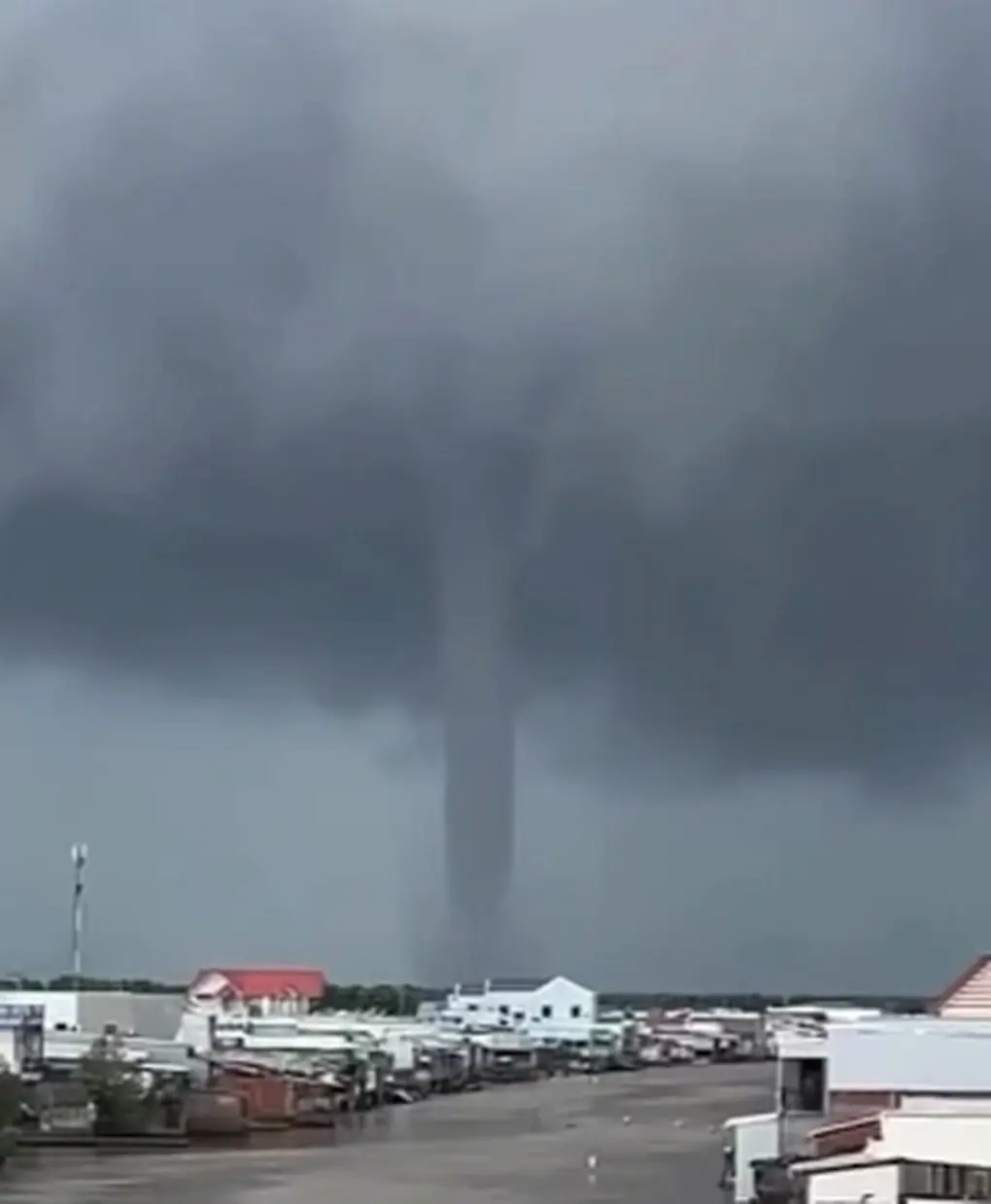 qdmrwh voi rong xuat hien tren vung bien ca mau 1 edited 1763030857924