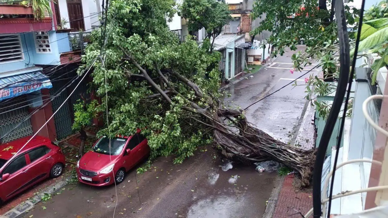 qk3n8a qn bao1 17624198592732104334571