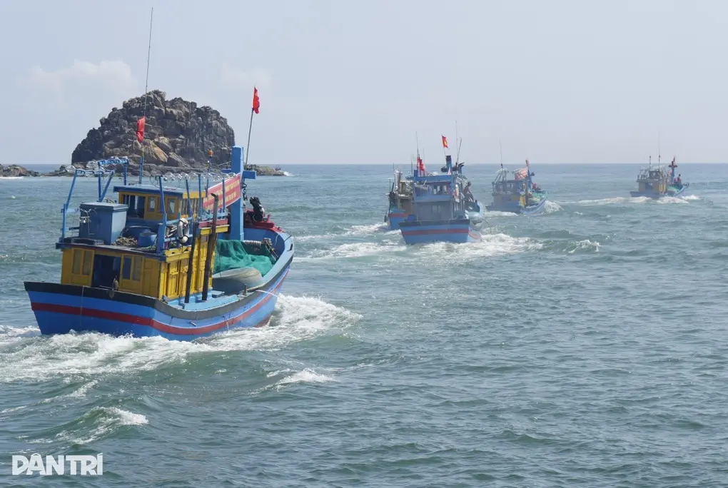 qss1go hang viet nam vao my vuot 126 ty usd cao nhat lich su 1763919229142