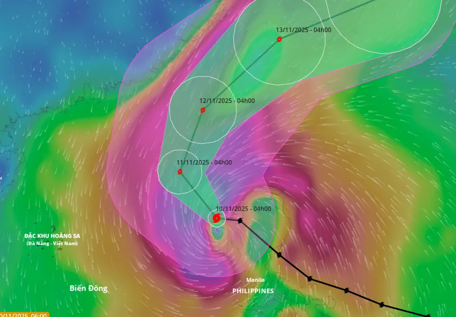 qwt7zz photo 1762731065356 17627310683021277415205