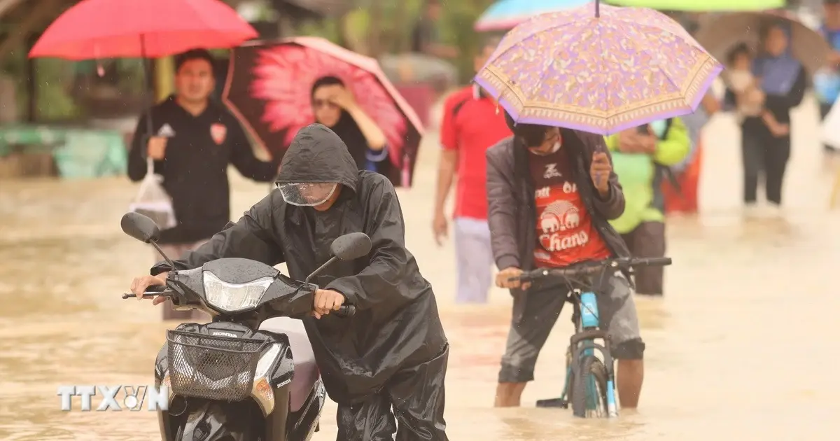 r0byxs thai lan lu quet