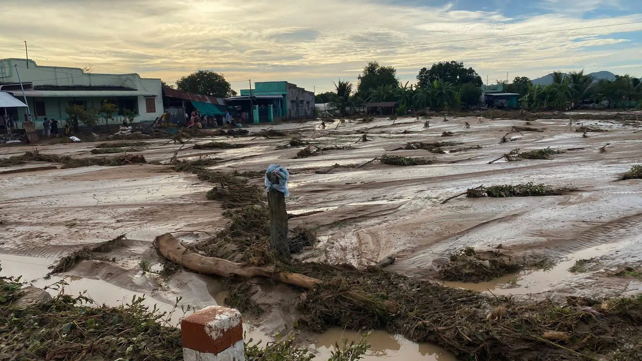 rhl5kj z71805149046334c263ddfe74e6b63bbf82e014b89d058 17620605462131728641051