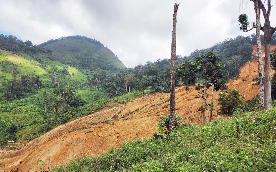 rwe0xq f84581b74e8fc2d19b9e 1763104202116964650197 1763107536100713420104 0 0 1600 2560 crop 17631075426662007246563